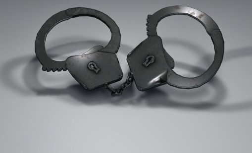 Българи са арестувани в Гърция за нелегален внос на пестициди