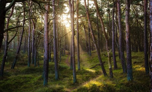 Природата реагира несинхронизирано в един и същи сезон, дори в един и същи регион 