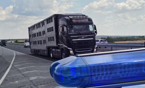 ИПБ: Сънната апнея да бъде призната като риск за пътната безопасност