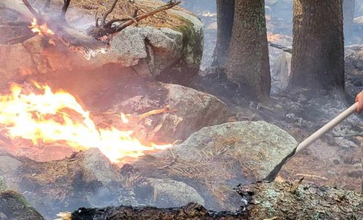 Голям пожар гори над село Илинденци