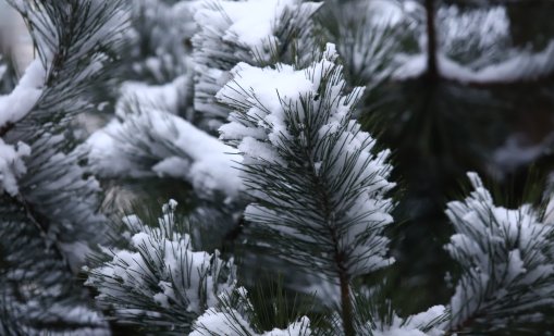 Дъжд, сняг и поледици днес, нахлува студен въздух