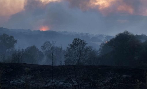 Пожар е обхванал горски територии в троянското село Черни Осъм