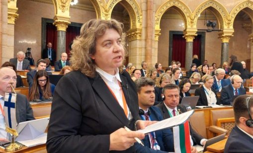 Киселова спря референдума за еврото - законно, но не и демократично?