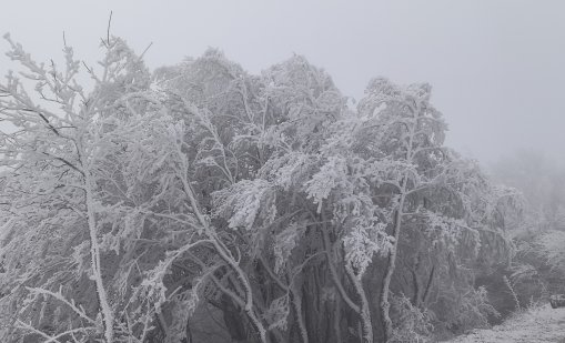 ПСС помогна на туристи в района на Боянския водопад