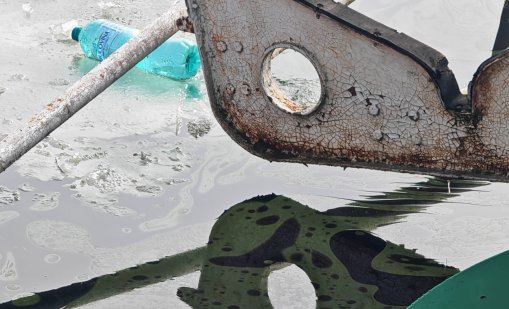 Потънала баржа край Гюргево замърси Дунав с нефт