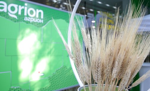 Агрион предлага земеделски земи под наем и аренда в различни региони на страната