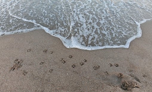 Рускиня се удави на неохраняем плаж край Иракли