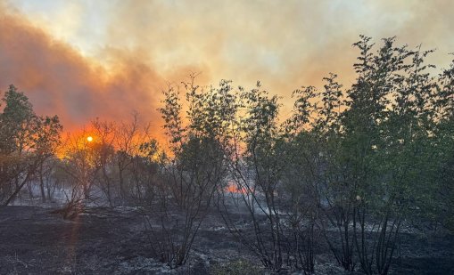Продължава борбата с огъня в Сакар планина