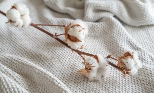 Защо памукът е една от най-добрите материи за летни дрехи?