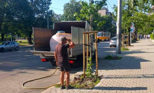 БАБХ спря внос на рекорден брой растения 