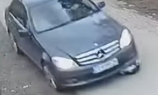 Изрод жестоко прегази две котета в село Мусачево, започнаха да го издирват онлайн ВИДЕО