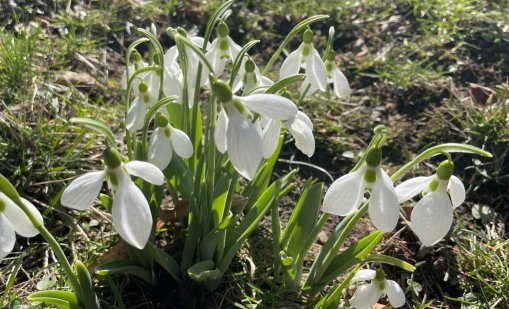 Утре последно слънце преди валежите от дъжд и сняг