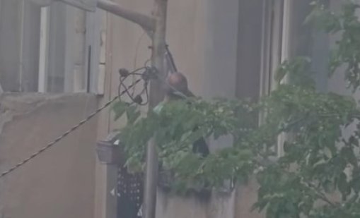 Мъж е стрелял с пушка от тераса в столичния квартал "Сухата река" ВИДЕО