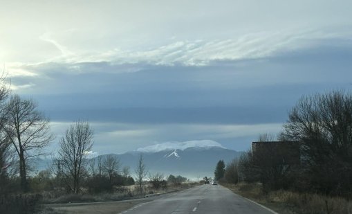 Мъртви коне на пътя затрудняват движението от Самоков за София