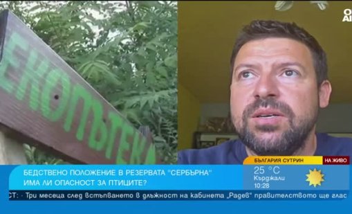 &ldquo;Сребърна&ldquo; на критичния минимум: Пеликаните отказват да гнездят
