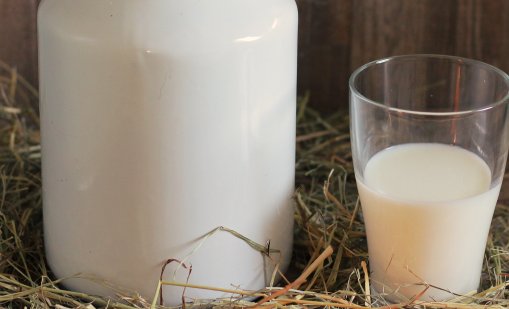 БАБХ: Въвежда се пълен контрол върху вносното мляко