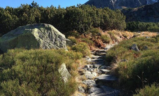 Добри са условията за туризъм по планини