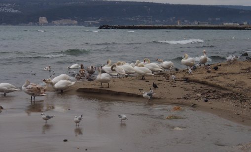 Кратко затопляне и температури до 12&deg; в четвъртък