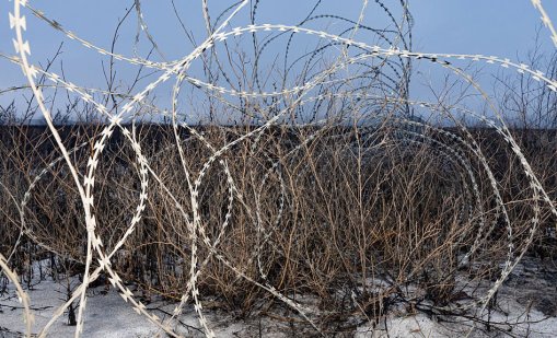 Природата - естественото оръжие за възпиране на нашествия