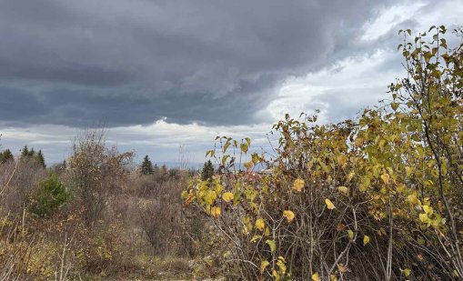 Пожарникарите са реагирали на общо 159 сигнала заради силния вятър