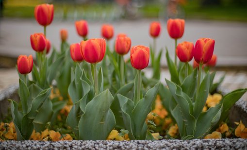 Времето днес: Слънчево, градусите до 18