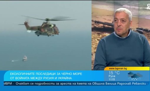 Черно море и война: Загинала е черната мида на дъното на морето 