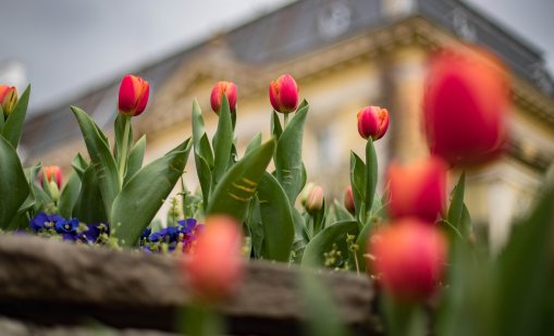 Утре ни очаква слънчево време с градуси до 17