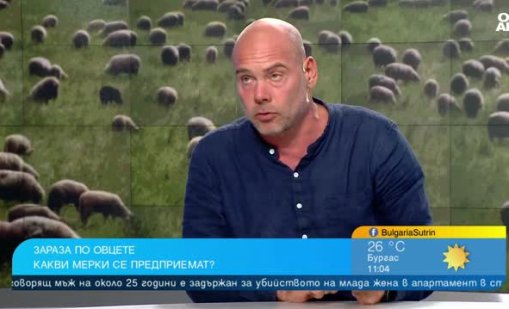 Шарката по овцете се разраства: Ваксините са купени, но не се прилагат