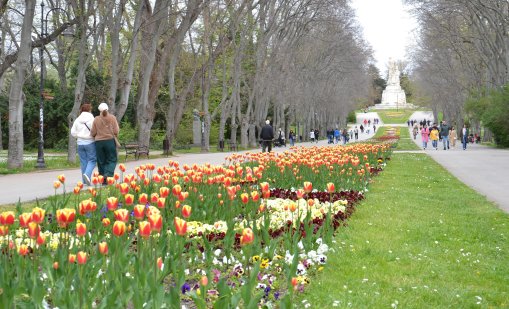 Пролетен ден: Слънчево и тихо ще е утре
