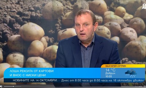 Масов внос на картофи от чужбина на ниски цени, българските не стигат