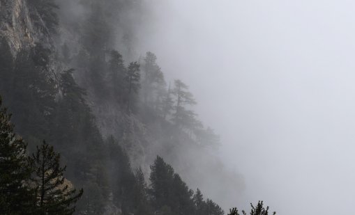 ПСС: Мъгливо и студено е в планините