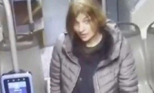 Арестувана е жената, намушкала четиримата германци в София