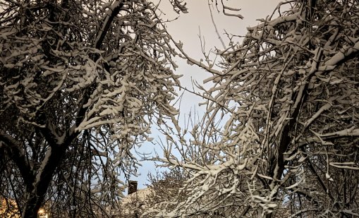 Времето днес: облачно, с валежи от дъжд и сняг