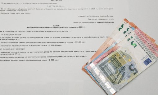 Какво работят хората, които се осигуряват на максималния осигурителен доход?