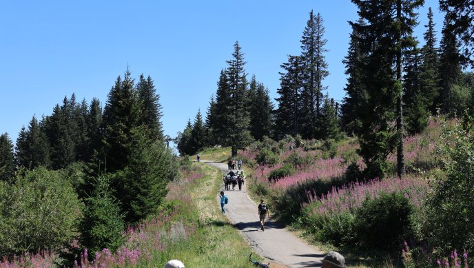 ПСС: В планините е спокойно, но има риск от мокри и кални участъци