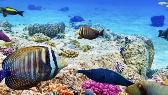 Априлско лято в Египет на промо цени