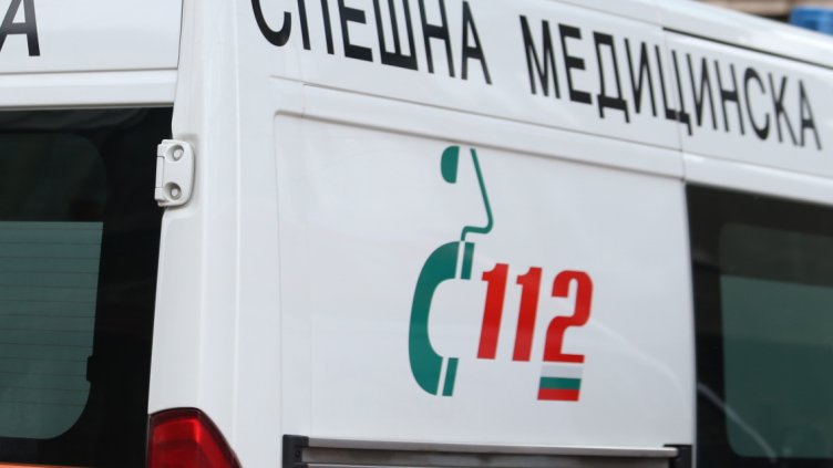 Снимка: архив, БГНЕС