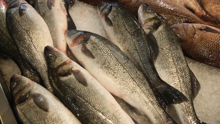 Снимка: архив, БГНЕС