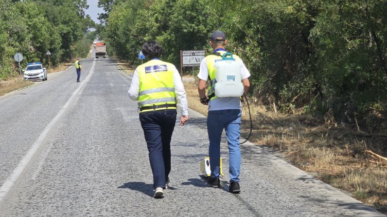 Снимка: European Center for Transport Policies