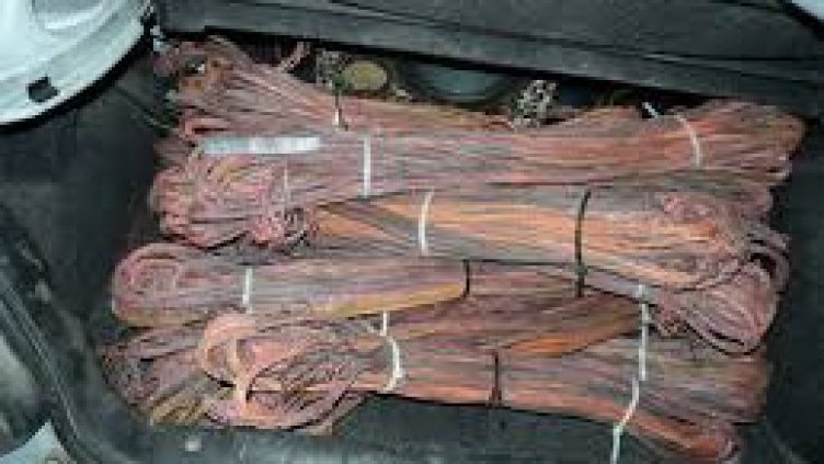 Снимка БГНЕС