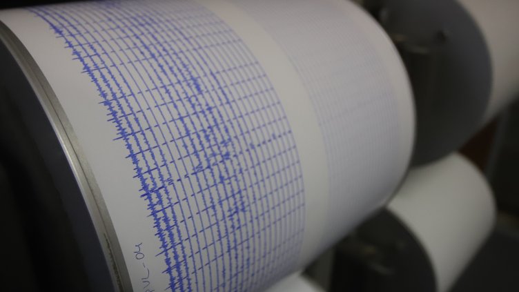 Снимка: архив, БГНЕС