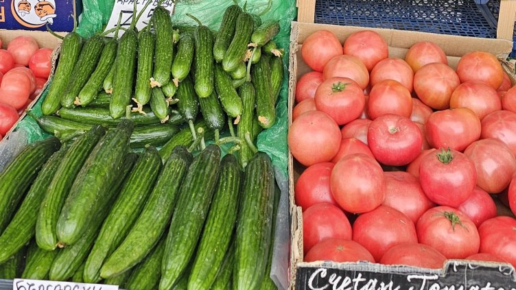 Снимка: архив, БГНЕС