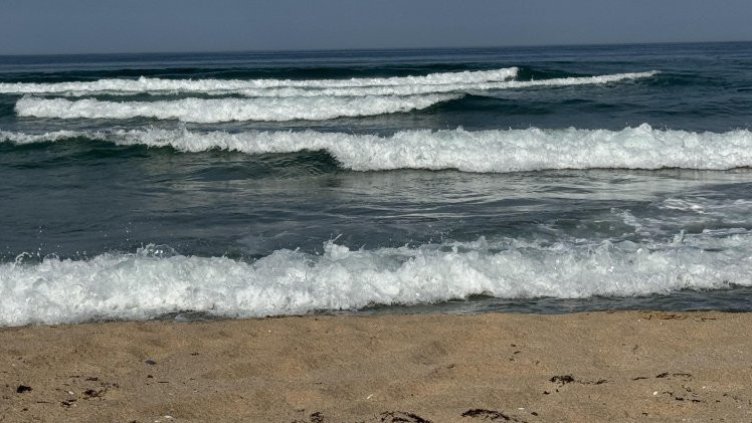 Снимка: архив, БГНЕС