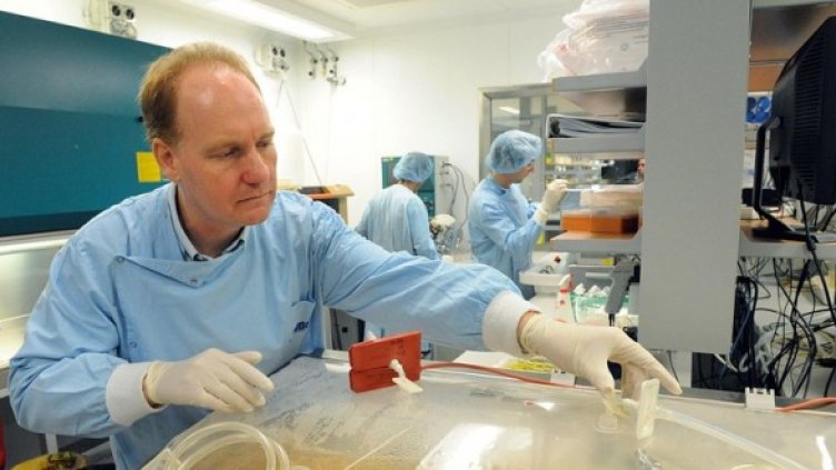 Снимка: БГНЕС