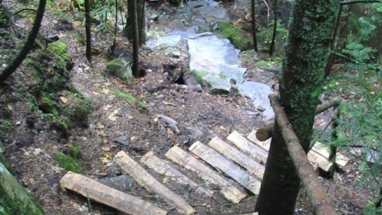 Снимка: Булфото