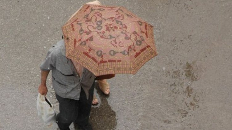 Снимка: Булфото