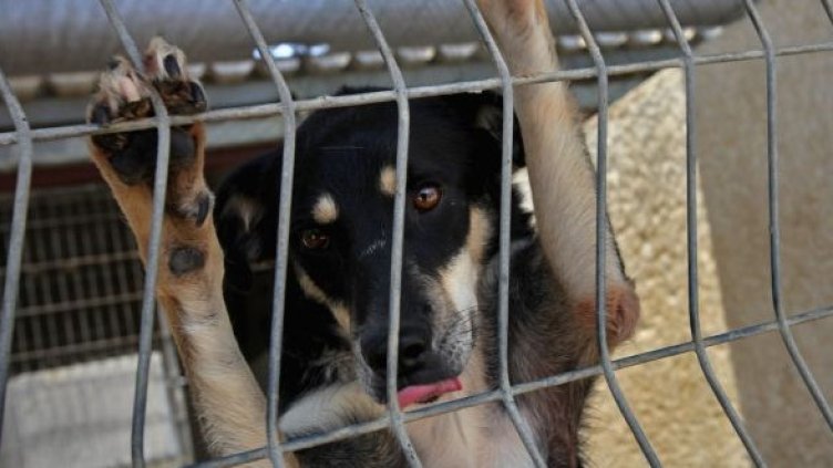 Снимка: Getty Images/Guliver Photos