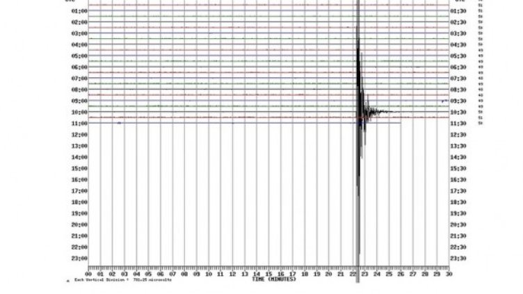 Снимка: БГНЕС