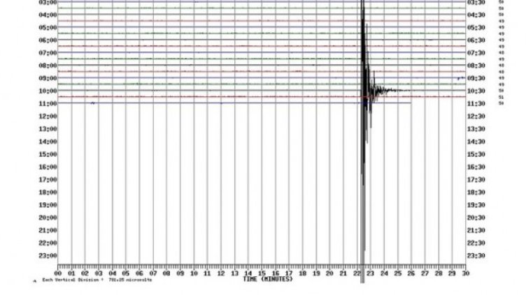 Снимка: БГНЕС