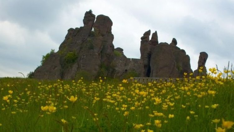 Снимка: Булфото